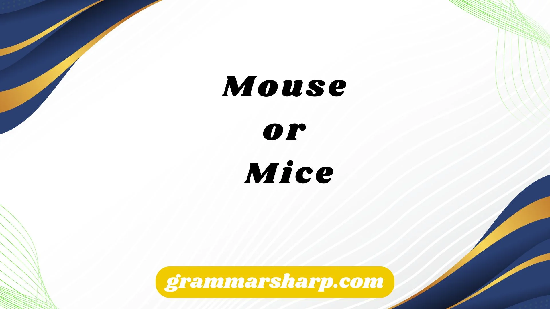 Mouse or Mice