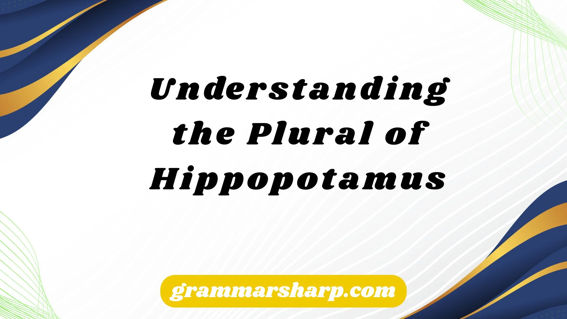 Understanding the Plural of Hippopotamus