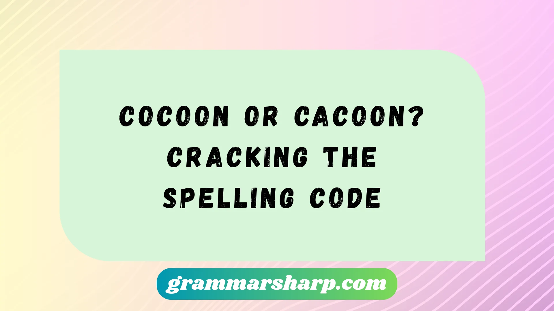 Cocoon or Cacoon? Cracking the Spelling Code