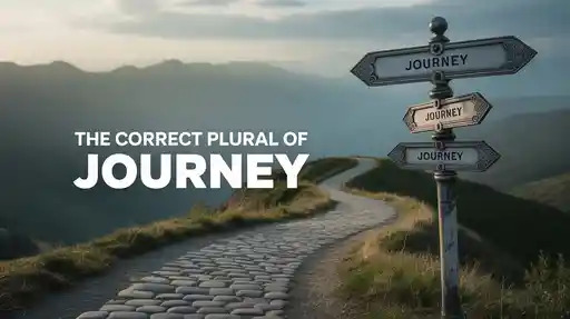 The Correct Plural of Journey