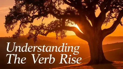 Understanding the Verb Rise
