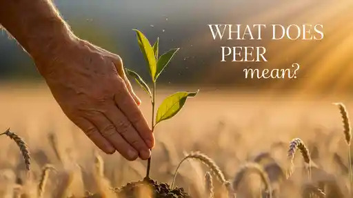What Does Peer Mean
