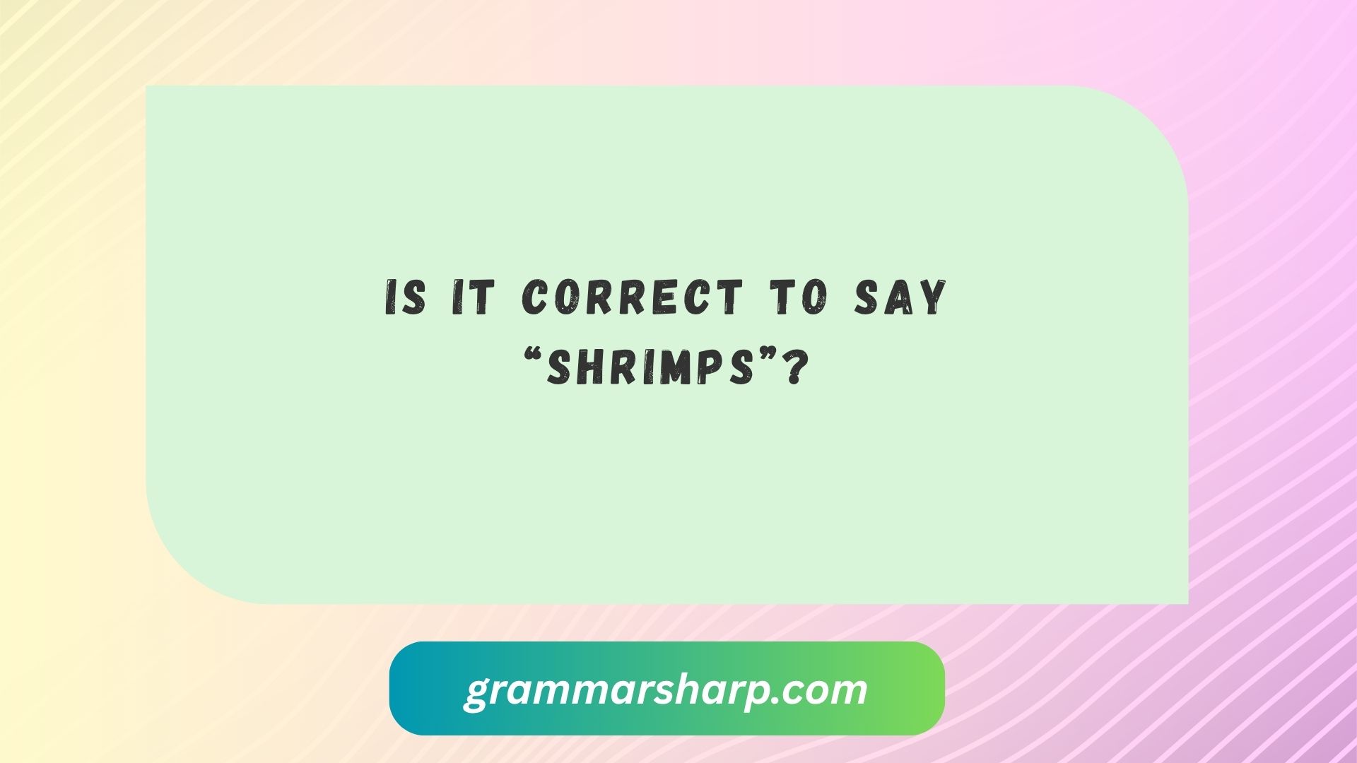 Is It Correct to Say “Shrimps